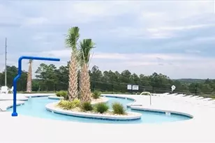 1449 Tanreall Dr, Lexington, SC 29073 - Photo 55