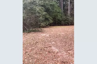 416 Otis Road, Pelion, SC 29123 - Photo 5