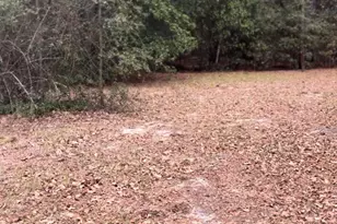 416 Otis Rd, Pelion, SC 29123 - Photo 5