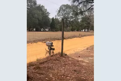 416 Otis Road, Pelion, SC 29123 - Photo 3