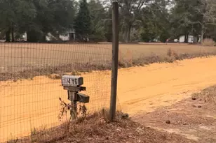 416 Otis Rd, Pelion, SC 29123 - Photo 3