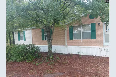 416 Otis Road, Pelion, SC 29123 - Photo 1