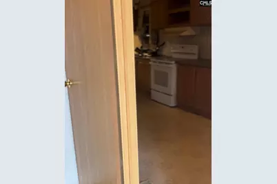 416 Otis Road, Pelion, SC 29123 - Photo 7