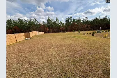 520 Richmond Road, Gaston, SC 29053 - Photo 25