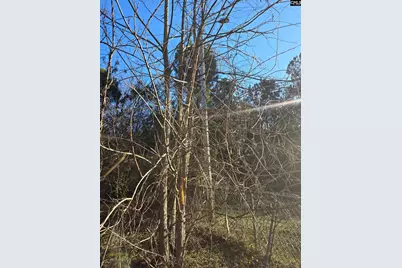 109 Anderson Portee, Hopkins, SC 29061 - Photo 7