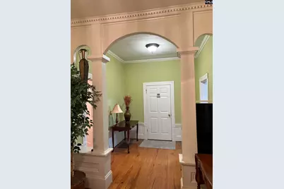 225 Columbia Avenue, Chapin, SC 29036 - Photo 3