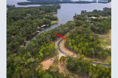 1061 Refuge Pl #46, Chapin, SC 29036 - Photo 13