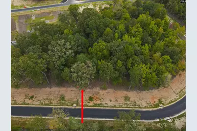 1068 Refuge Pl #45, Chapin, SC 29036 - Photo 3