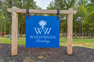 1068 Refuge Pl, Chapin, SC 29036 - Photo 1