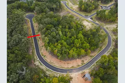 1068 Refuge Pl #45, Chapin, SC 29036 - Photo 9