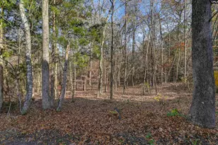 657 Hamlin Way, Irmo, SC 29063 - Photo 77