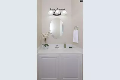 657 Hamlin Way, Irmo, SC 29063 - Photo 41