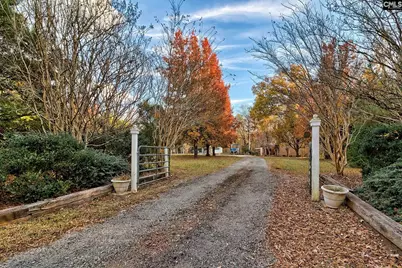 445 Westwoods Drive, Chapin, SC 29036 - Photo 3