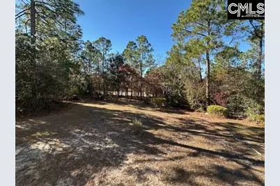 33 Valkyrie Circle, Columbia, SC 29229 - Photo 55