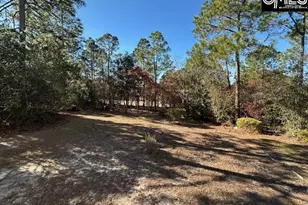 33 Valkyrie Cir, Columbia, SC 29229 - Photo 55