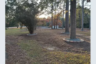 110 Brook Valley Drive, Columbia, SC 29223 - Photo 15