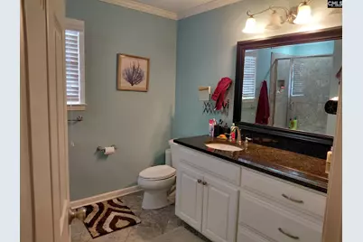 110 Brook Valley Drive, Columbia, SC 29223 - Photo 11