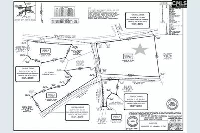 0 Three Point Rd, Chapin, SC 29036 - Photo 7