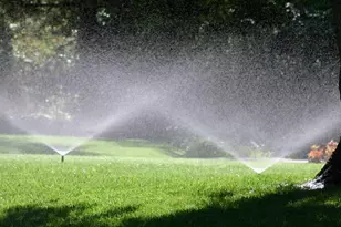 1039 Beaufort Farm Rd, Blythewood, SC 29016 - Photo 27