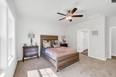 413 Destiny Farm Lane, Blythewood, SC 29016 - Photo 11
