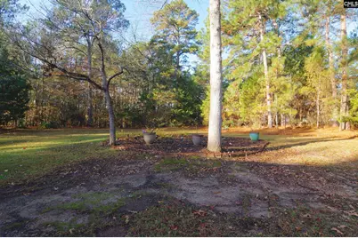 1331 Camping Road, Gilbert, SC 29054 - Photo 29