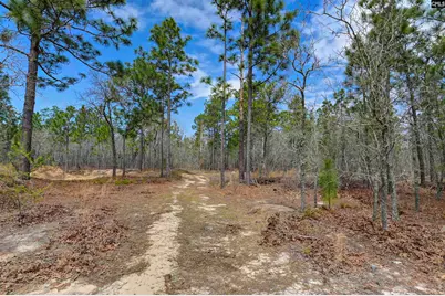 359 Sturkie Lane, Gaston, SC 29053 - Photo 29
