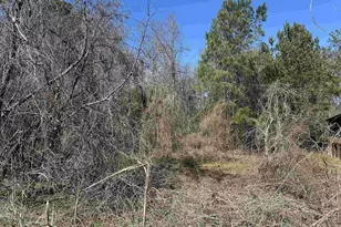 97 Charmont Dr, Columbia, SC 29223 - Photo 1