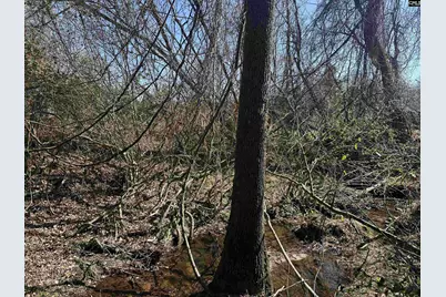 97 Charmont Drive, Columbia, SC 29223 - Photo 11