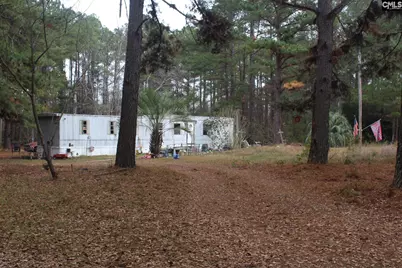 220 Ivory Street, Cope, SC 29038 - Photo 5