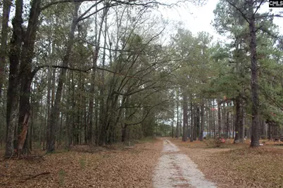 220 Ivory Street, Cope, SC 29038 - Photo 7