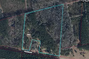 220 Ivory St, Cope, SC 29038 - Photo 1