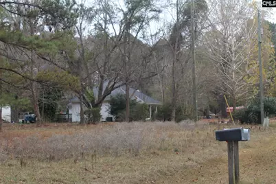 220 Ivory Street, Cope, SC 29038 - Photo 11