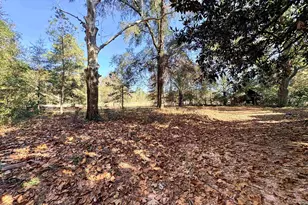 1409 Fairview Rd, Pelion, SC 29123 - Photo 49