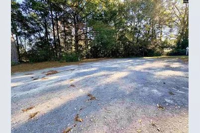 1409 Fairview Road, Pelion, SC 29123 - Photo 41