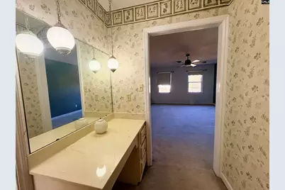 1409 Fairview Road, Pelion, SC 29123 - Photo 37