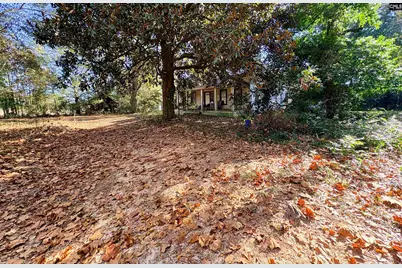 1409 Fairview Road, Pelion, SC 29123 - Photo 47