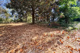 1409 Fairview Rd, Pelion, SC 29123 - Photo 47