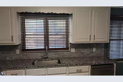 133 Tam O Shanter Drive, Blythewood, SC 29016 - Photo 25