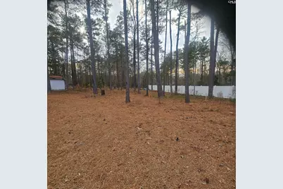 133 Tam O Shanter Drive, Blythewood, SC 29016 - Photo 81