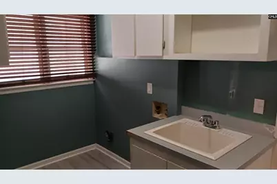 133 Tam O Shanter Drive, Blythewood, SC 29016 - Photo 47