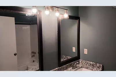 133 Tam O Shanter Drive, Blythewood, SC 29016 - Photo 45