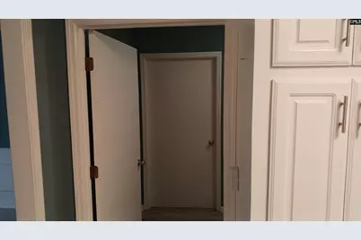 133 Tam O Shanter Drive, Blythewood, SC 29016 - Photo 47