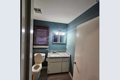 133 Tam O Shanter Drive, Blythewood, SC 29016 - Photo 63