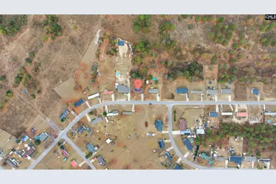 233 Peeler Road, Gaston, SC 29053 - Photo 9