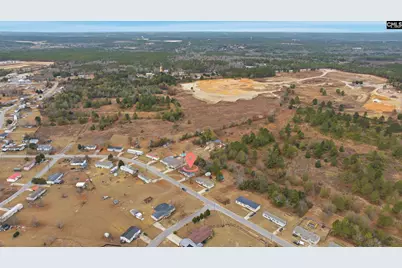 233 Peeler Road, Gaston, SC 29053 - Photo 11