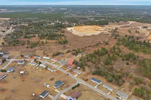 233 Peeler Rd, Gaston, SC 29053 - Photo 11