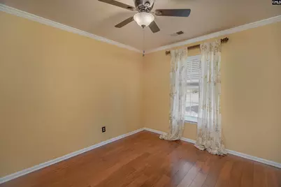 171 Elm Creek Drive, Chapin, SC 29036 - Photo 19