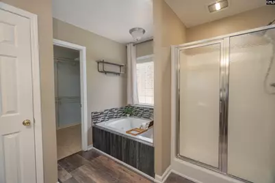 171 Elm Creek Drive, Chapin, SC 29036 - Photo 31