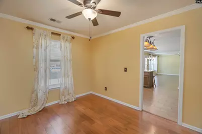 171 Elm Creek Drive, Chapin, SC 29036 - Photo 17