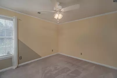 171 Elm Creek Drive, Chapin, SC 29036 - Photo 25